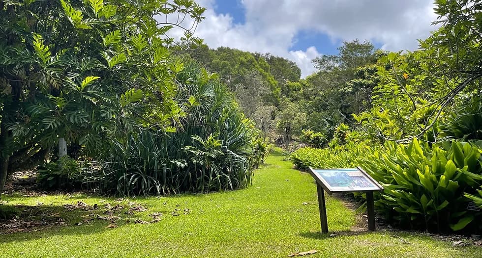 Amy Greenwell Ethnobotanical Garden in Captain Cook Hi