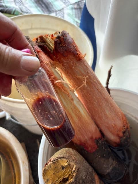 Kapa workshop gallery image